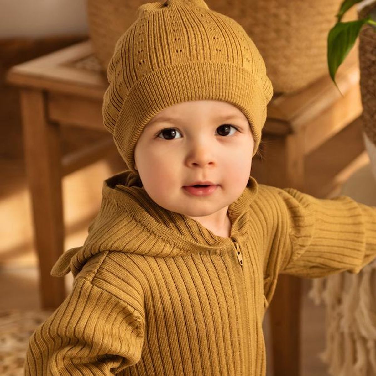 Babylue Romney, honning